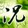 一比一原版梅哈里医学院毕业证【degxx.com】